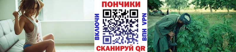 Где можно купить наркотики Дигора КОКАИН  ГАШИШ  БУТИРАТ  Бошки Шишки  А ПВП 