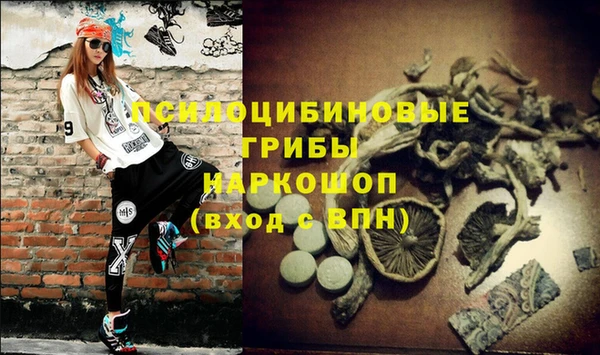 сатива Бугульма