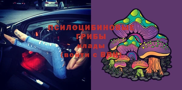 кокс Богородск
