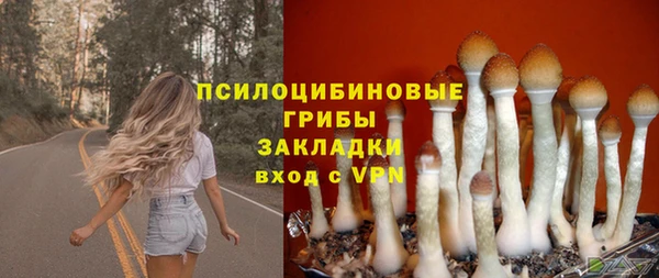 амф Бородино