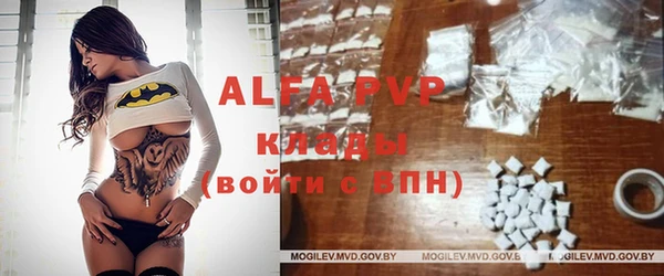 амф Бородино